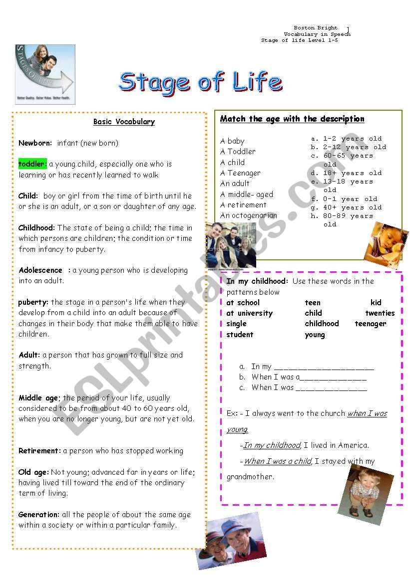 Stages of life worksheet