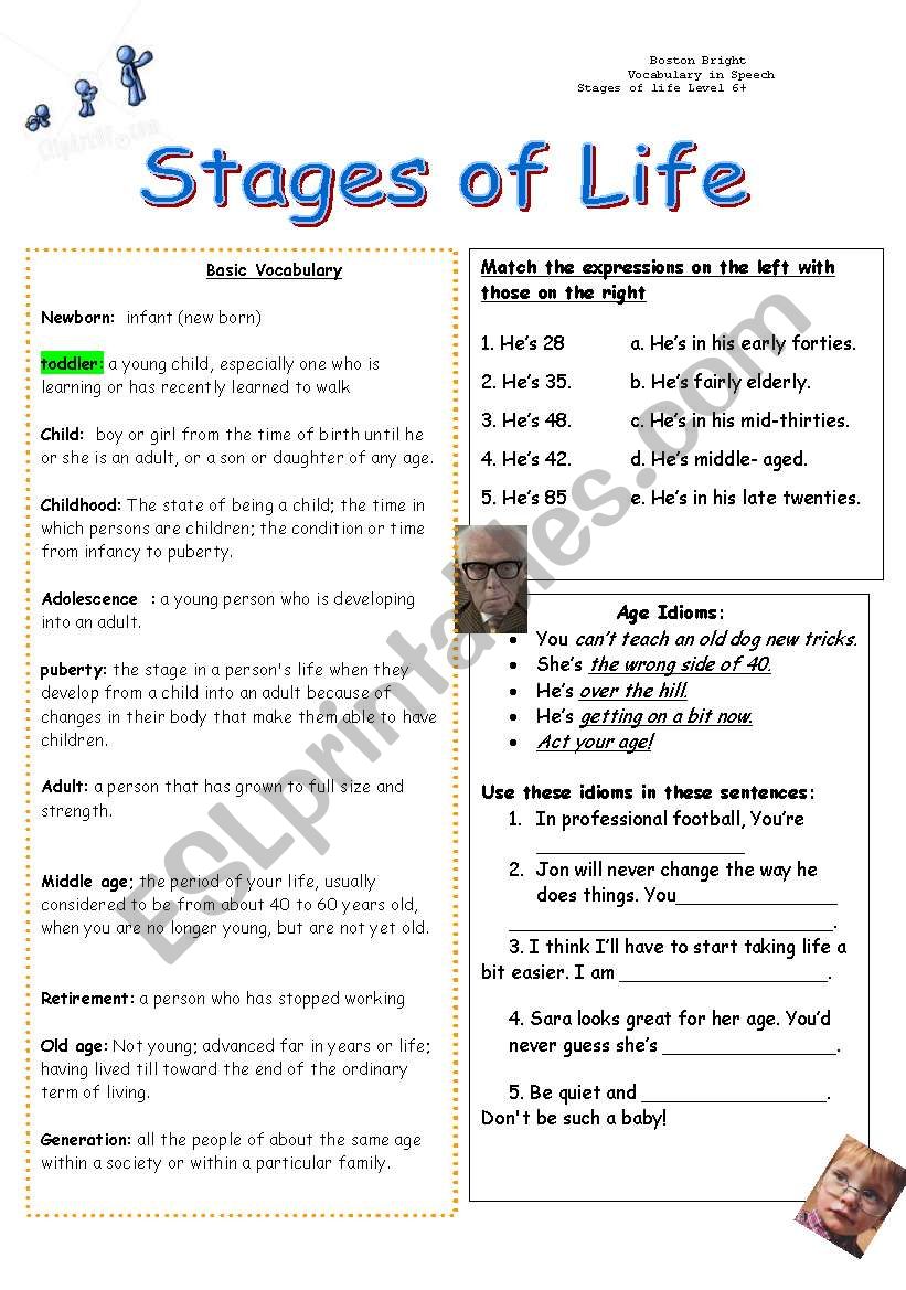 Stages of life - ESL worksheet by sasa_ath Pertaining To Stages Of Change Worksheet