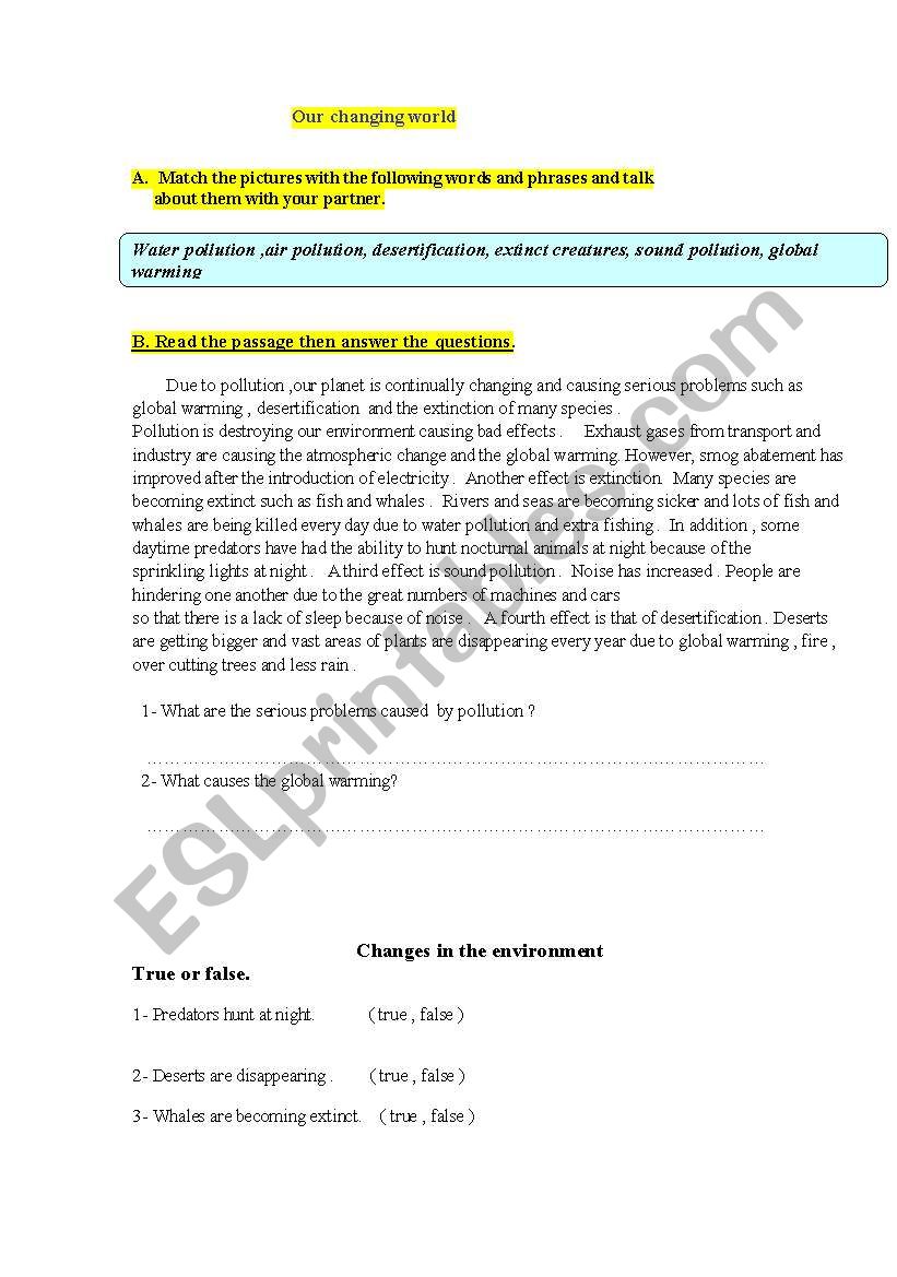 Pollution worksheet