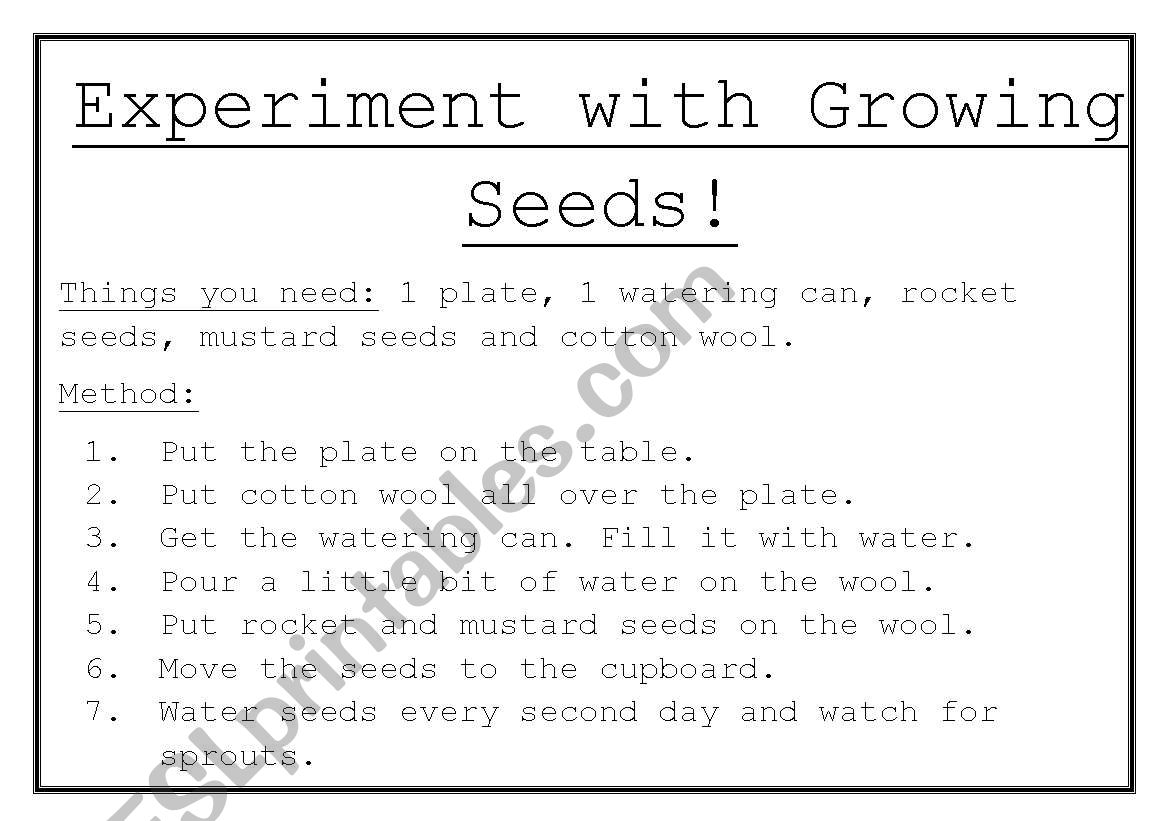 Growing Seeds worksheet