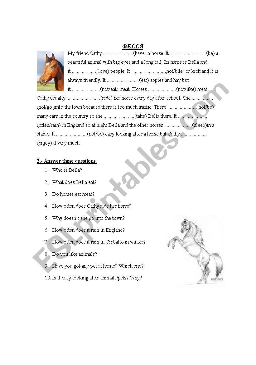 BELLA worksheet