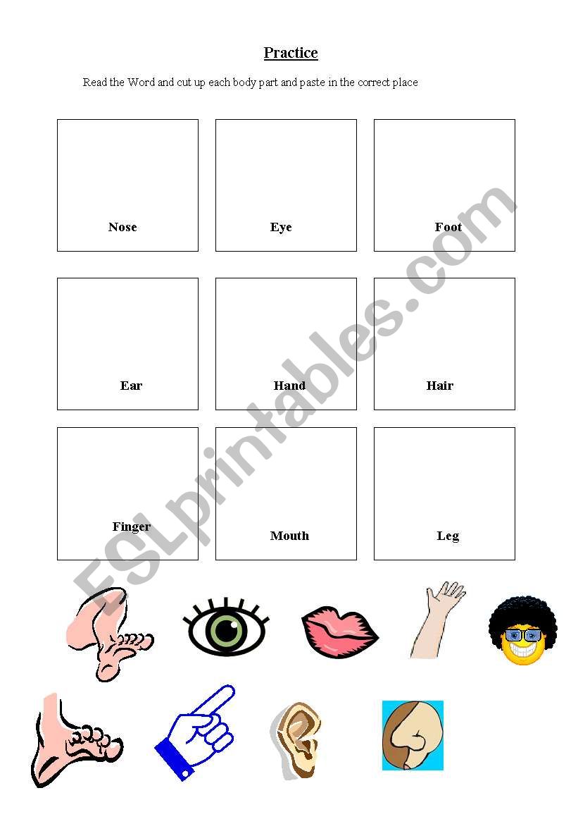 parts of the body worksheet