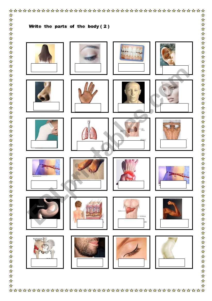 Body parts pictionary 2 worksheet