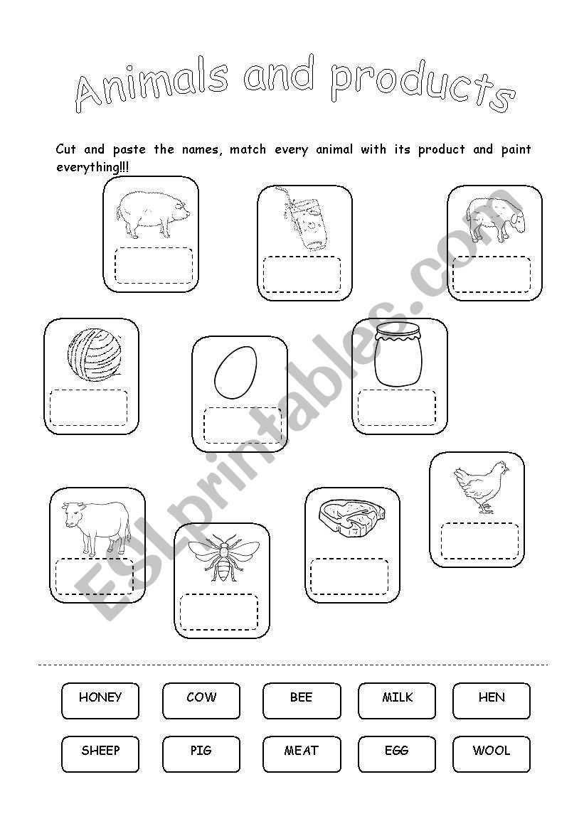 ANIMALS AND THEIR PRODUCTS worksheet