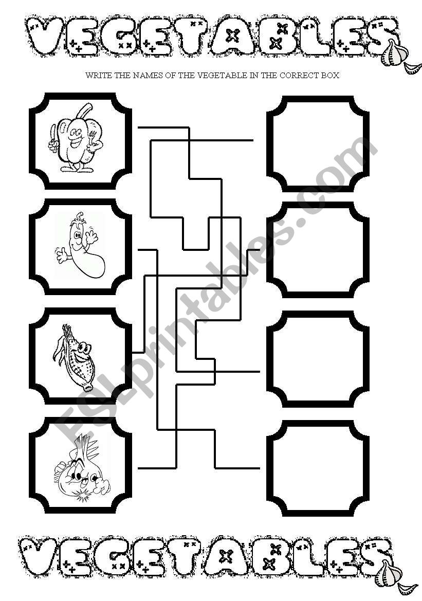 Vegetables (3/4) worksheet