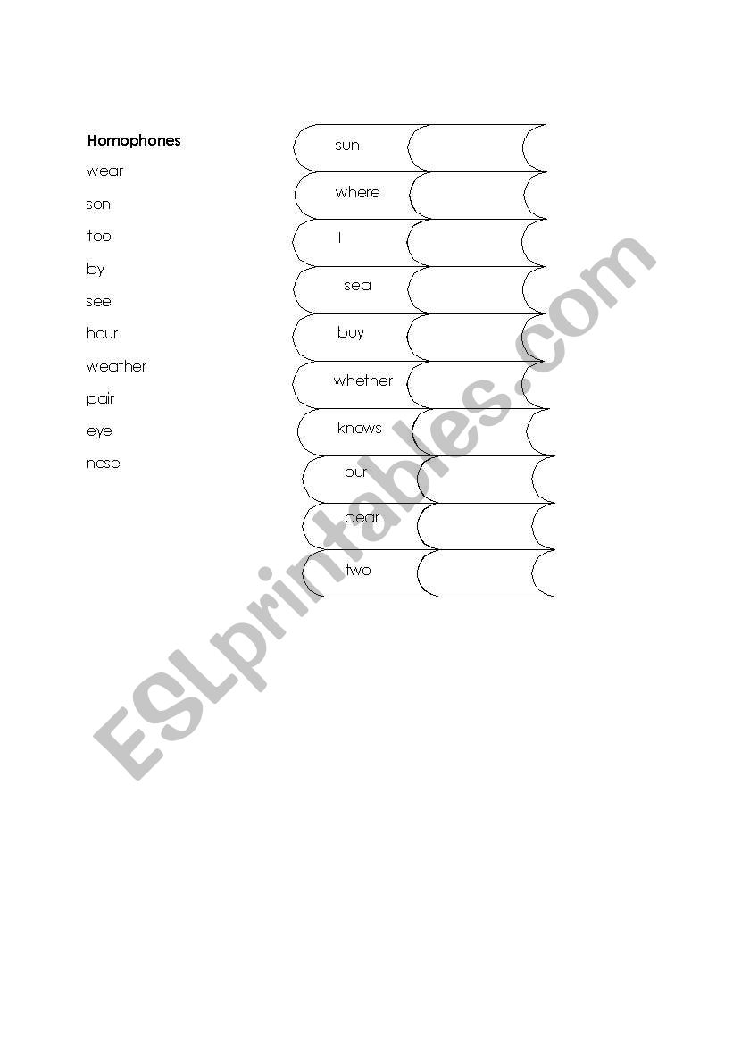 Homophone and opposit word worksheet