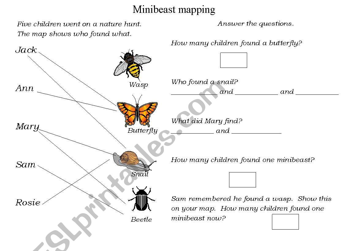 Minibeast Mapping worksheet