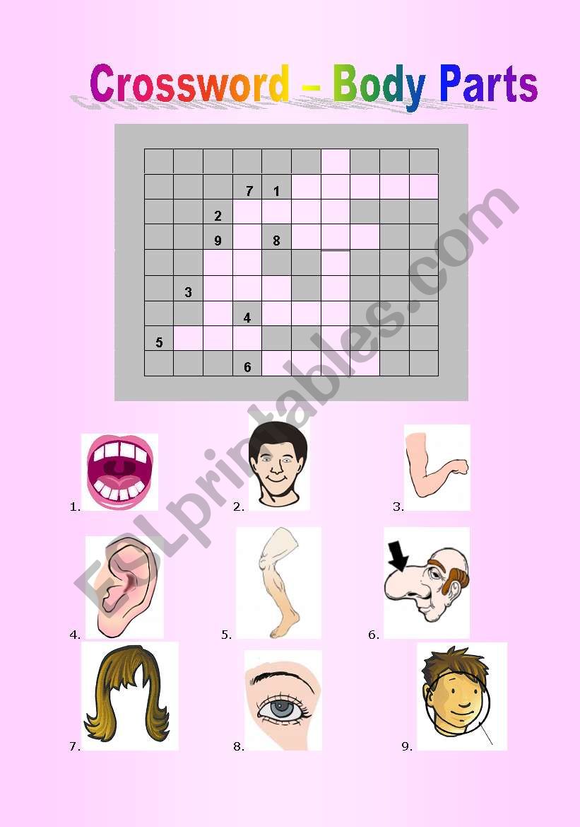 BODY PARTS CROSSWORD worksheet