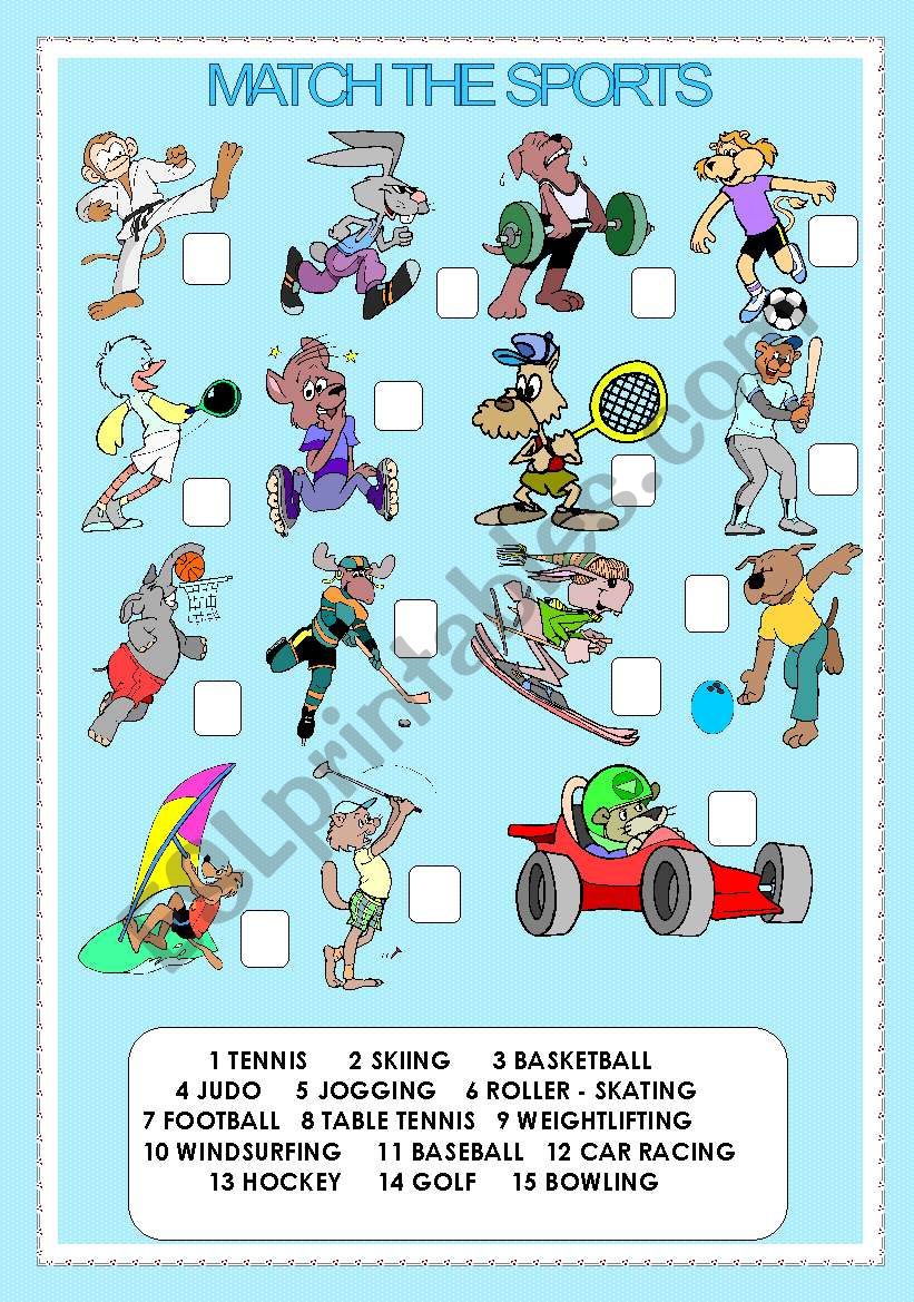 MATCH THE SPORTS  worksheet