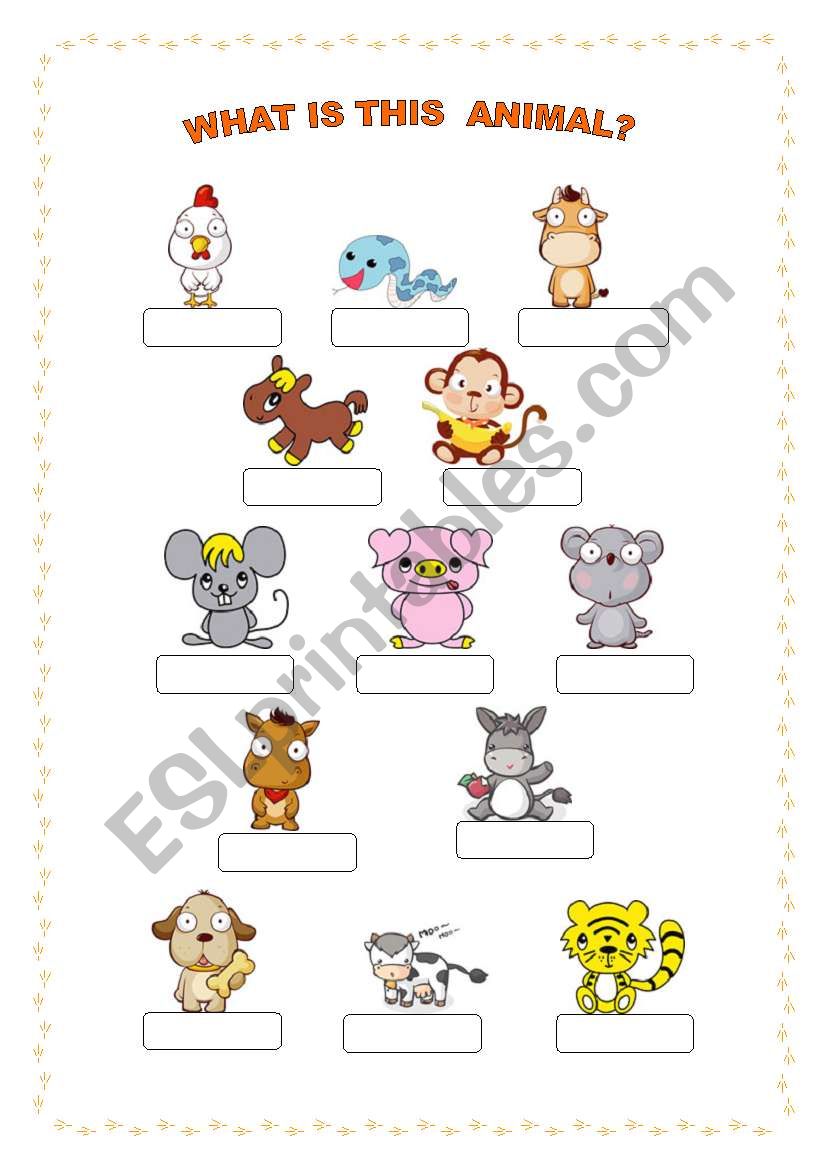 Animals worksheet