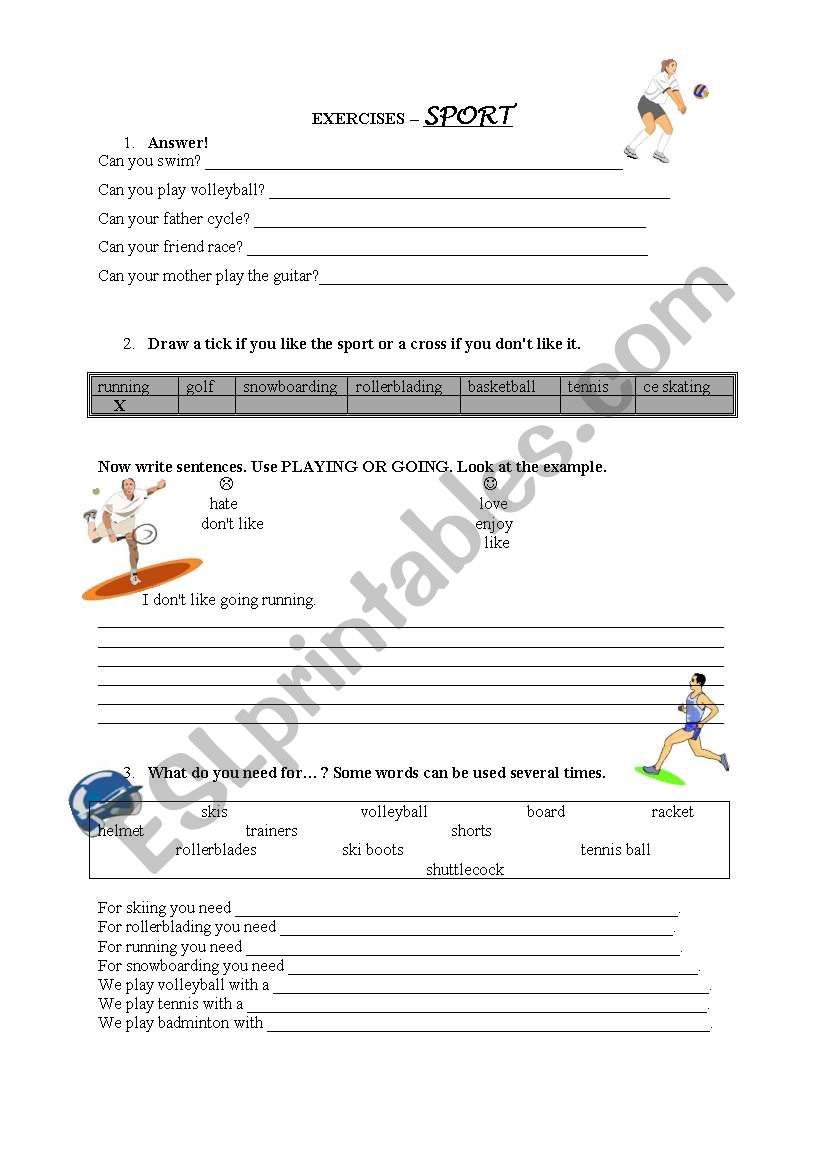 exercises - sport worksheet