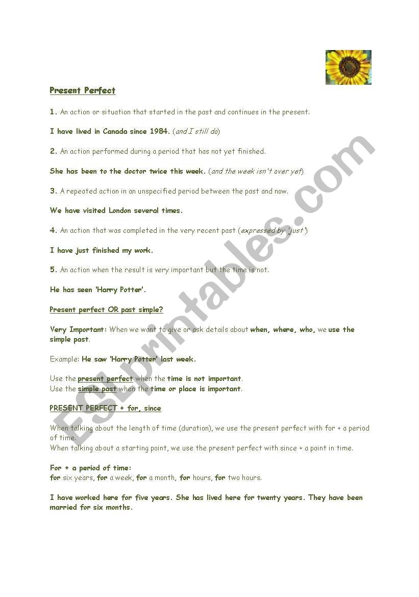 Present Perfect worksheet