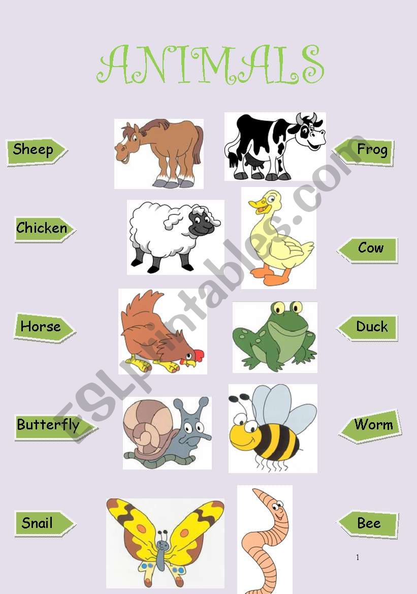 Animals worksheet