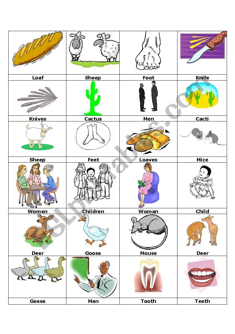 Irregular Plurals Picture Cards