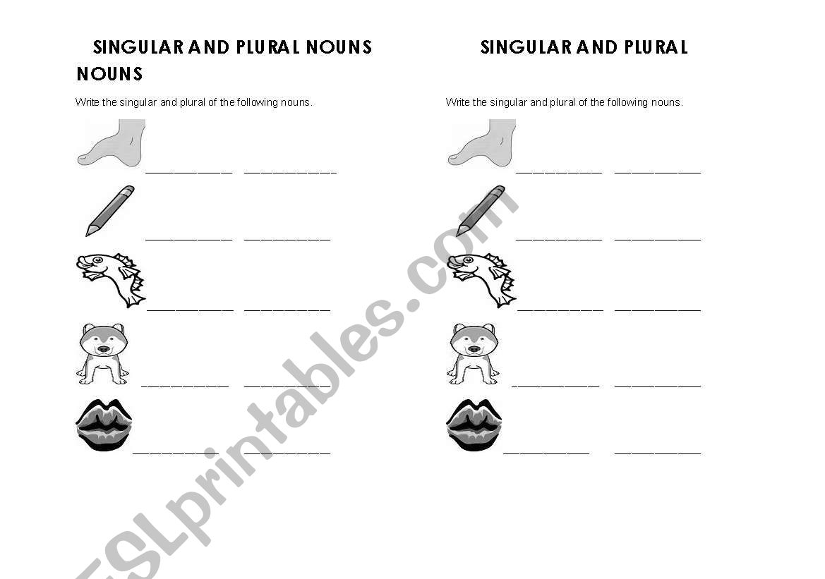 SINGULAR AND PLURAL NOUNS worksheet