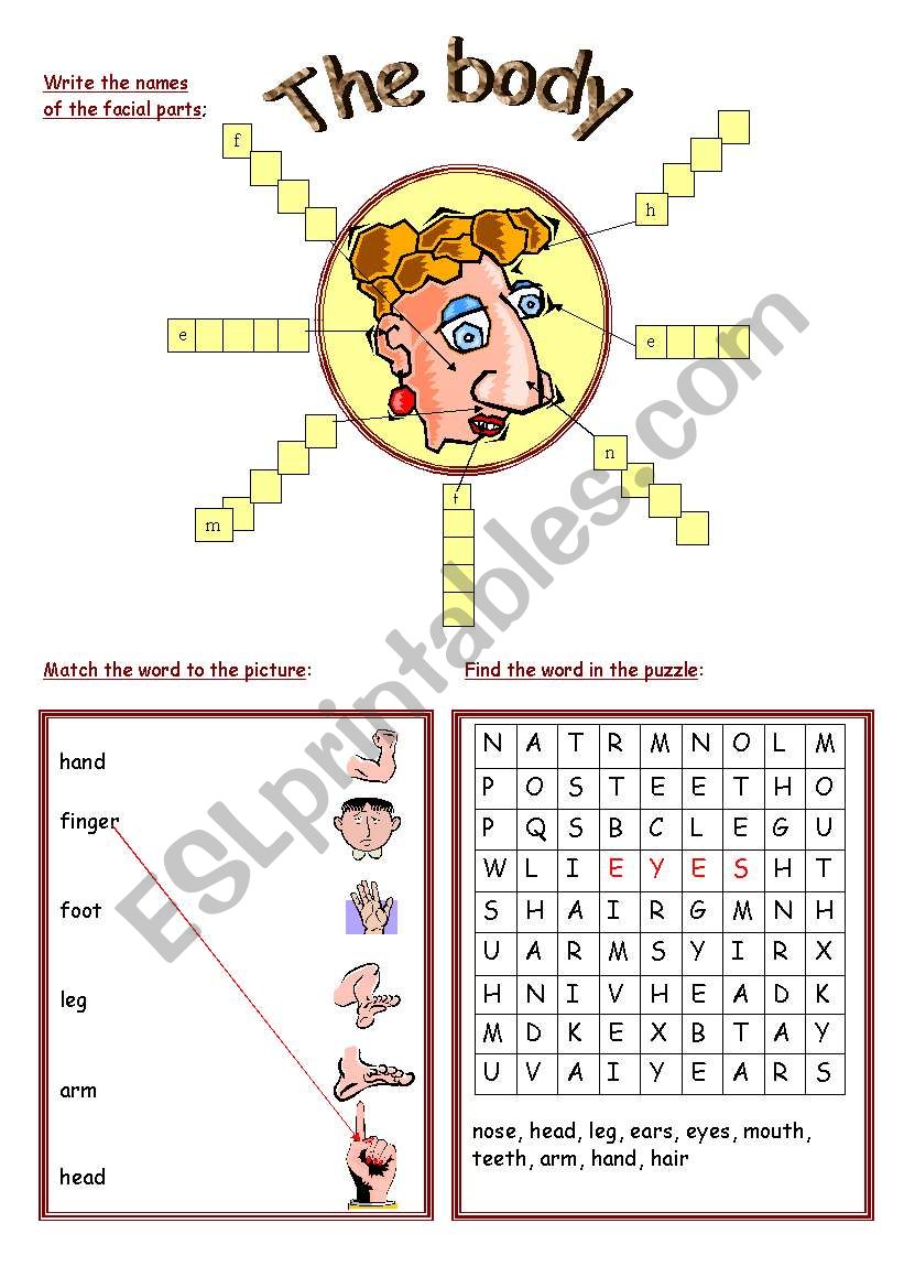 body parts worksheet