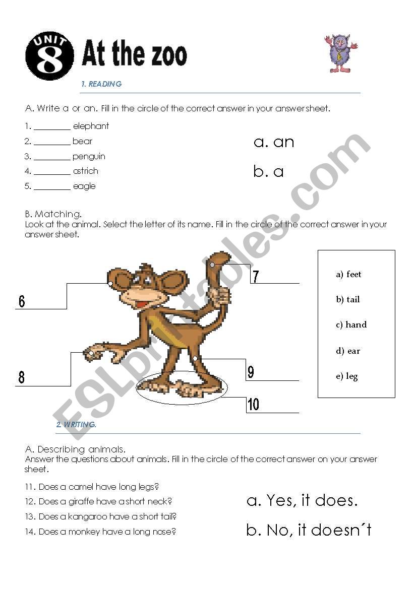 At the zoo worksheet