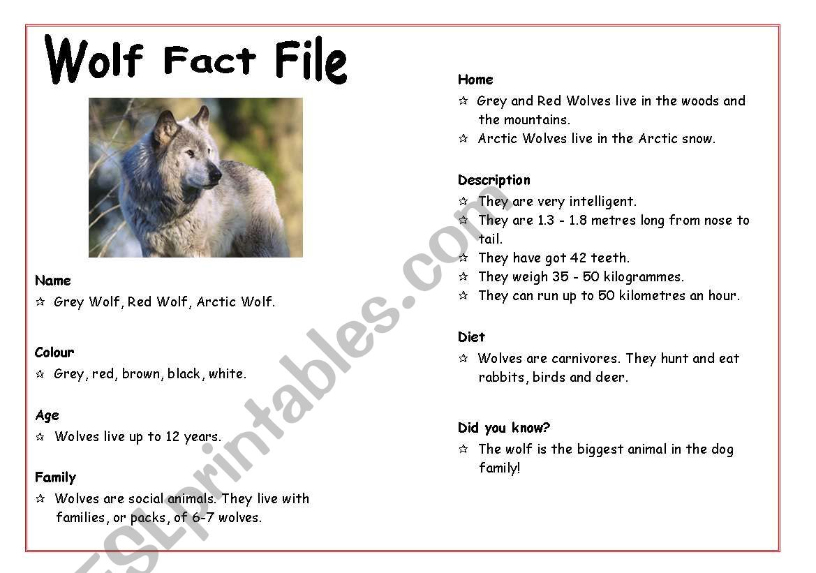 Wolf Fact File worksheet