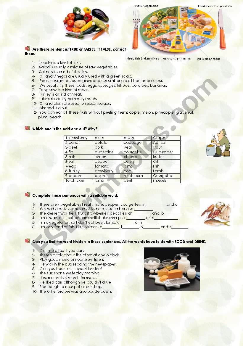 food exercises worksheet