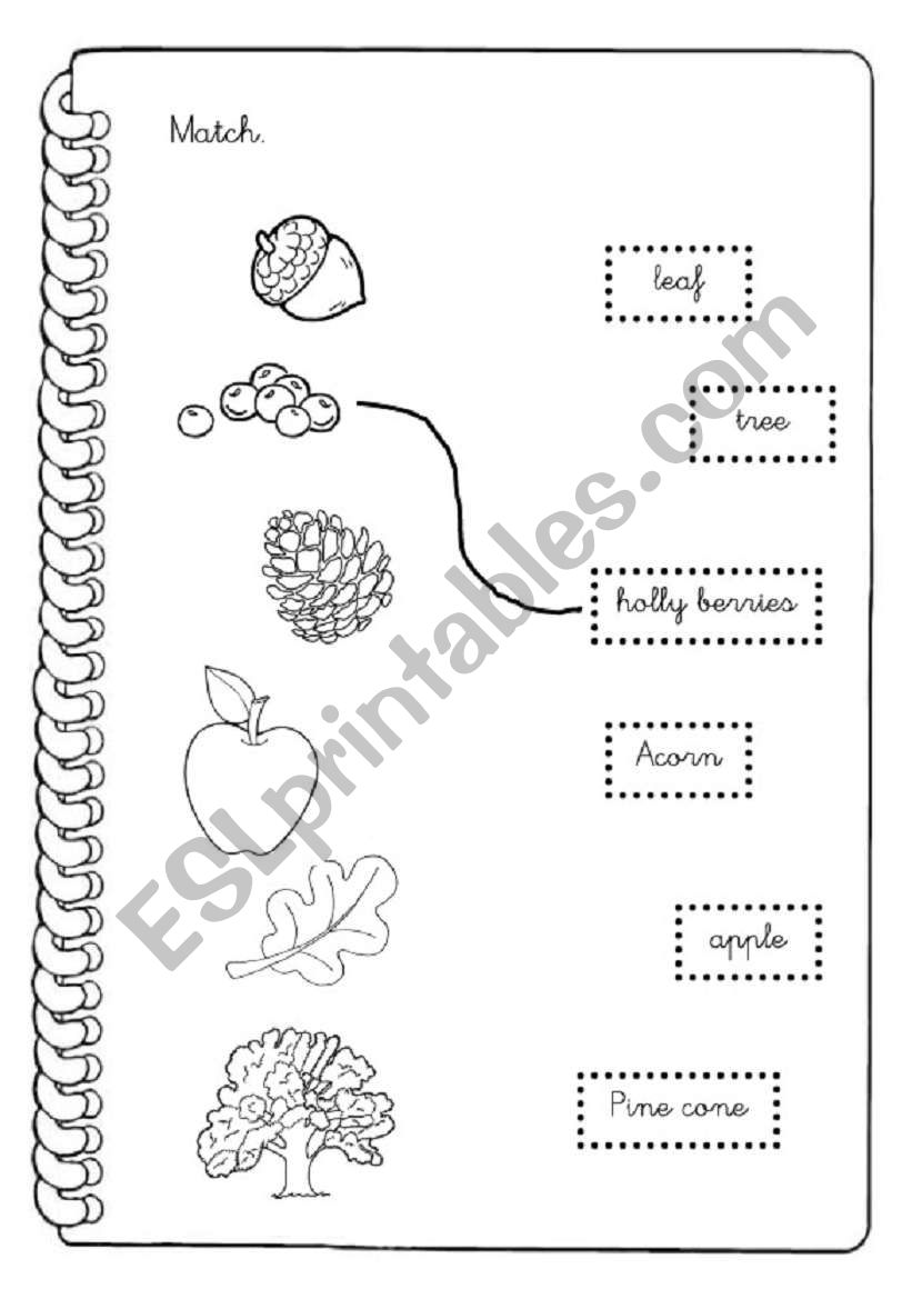 What tree is it? part 2 worksheet