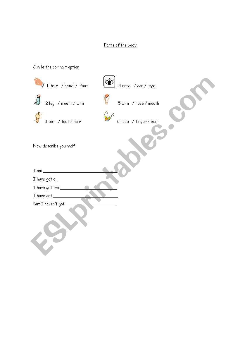 Parts of the body worksheet