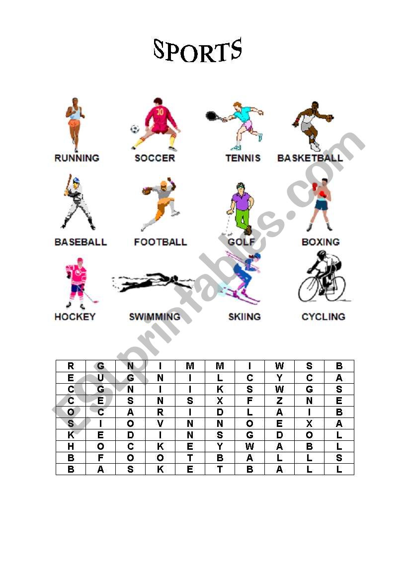 Sports worksheet