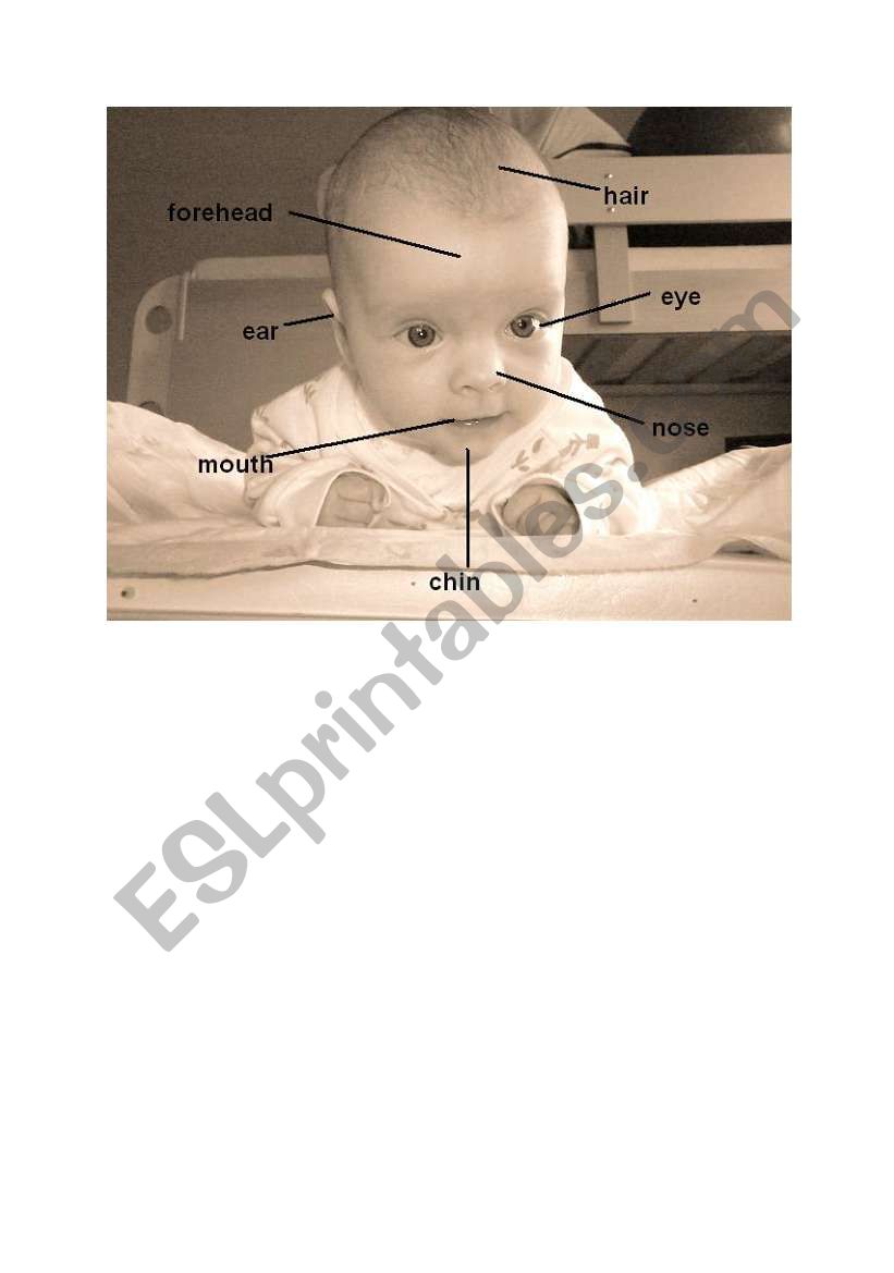 face of infant worksheet