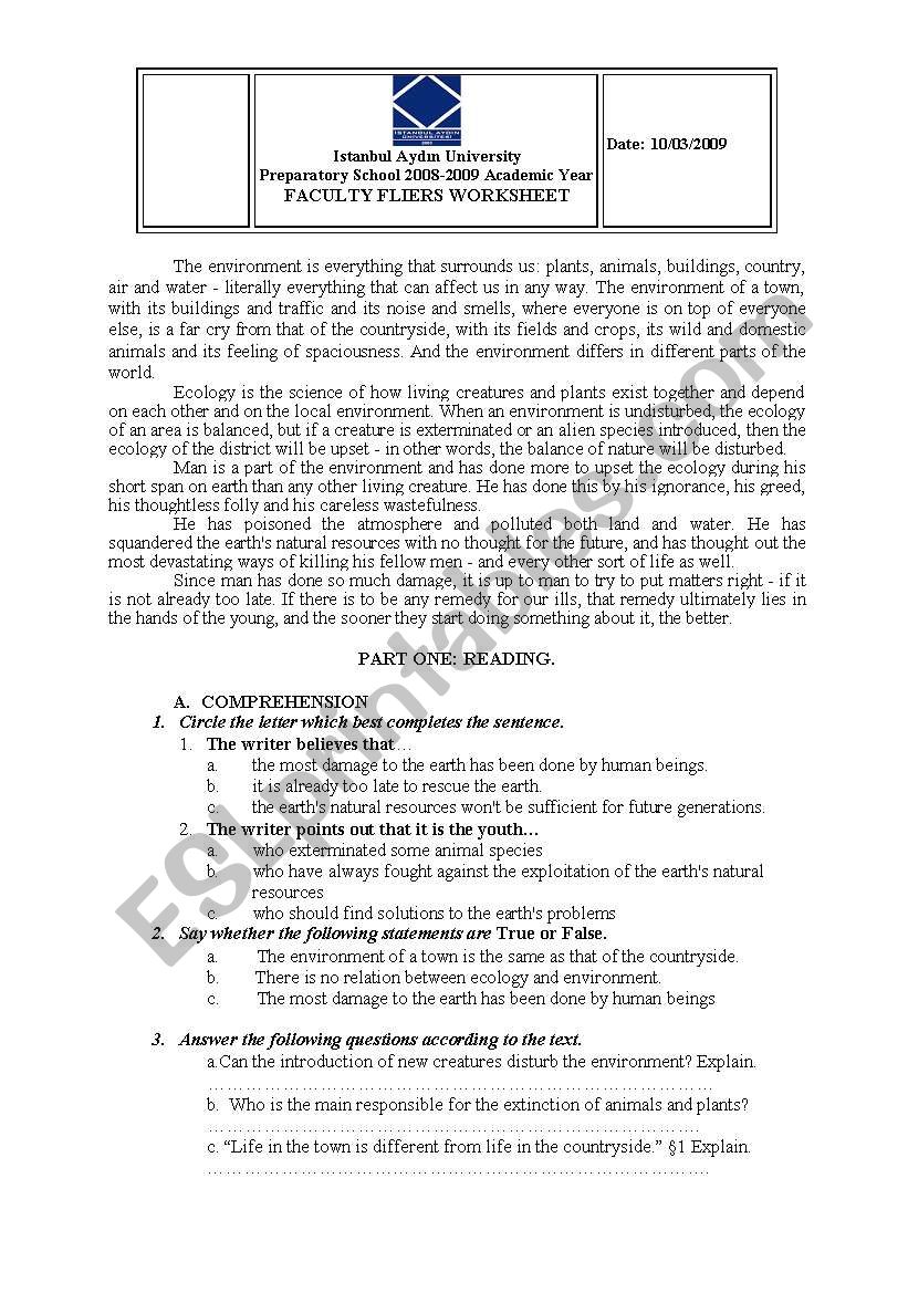 reading activity  worksheet