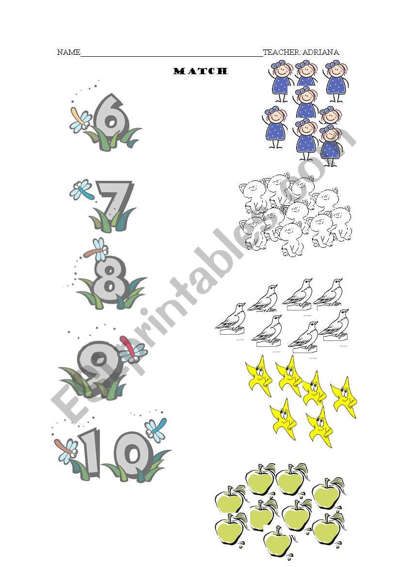 numbers worksheet