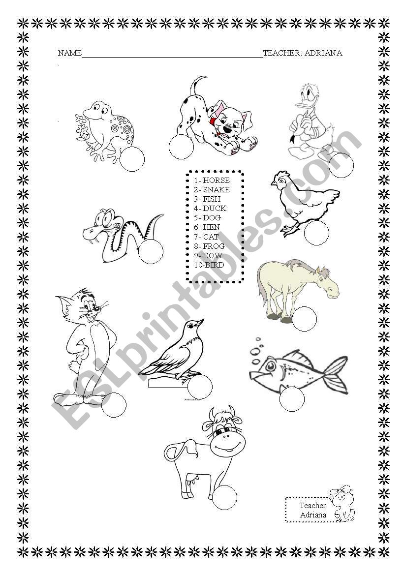 animals worksheet