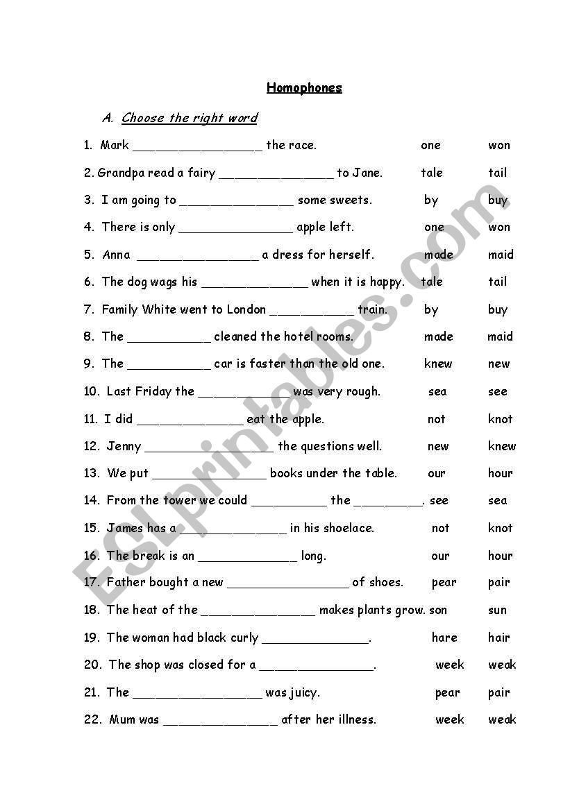 homophones worksheet