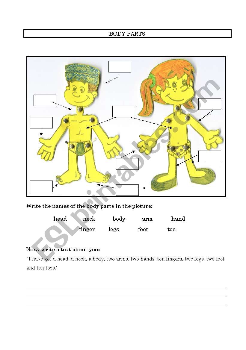 body parts worksheet