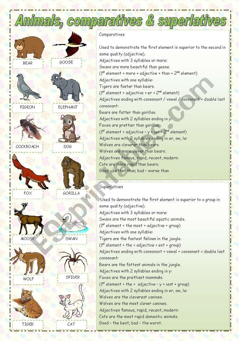 Animals, comparatives & superlatives - ESL worksheet by zailda