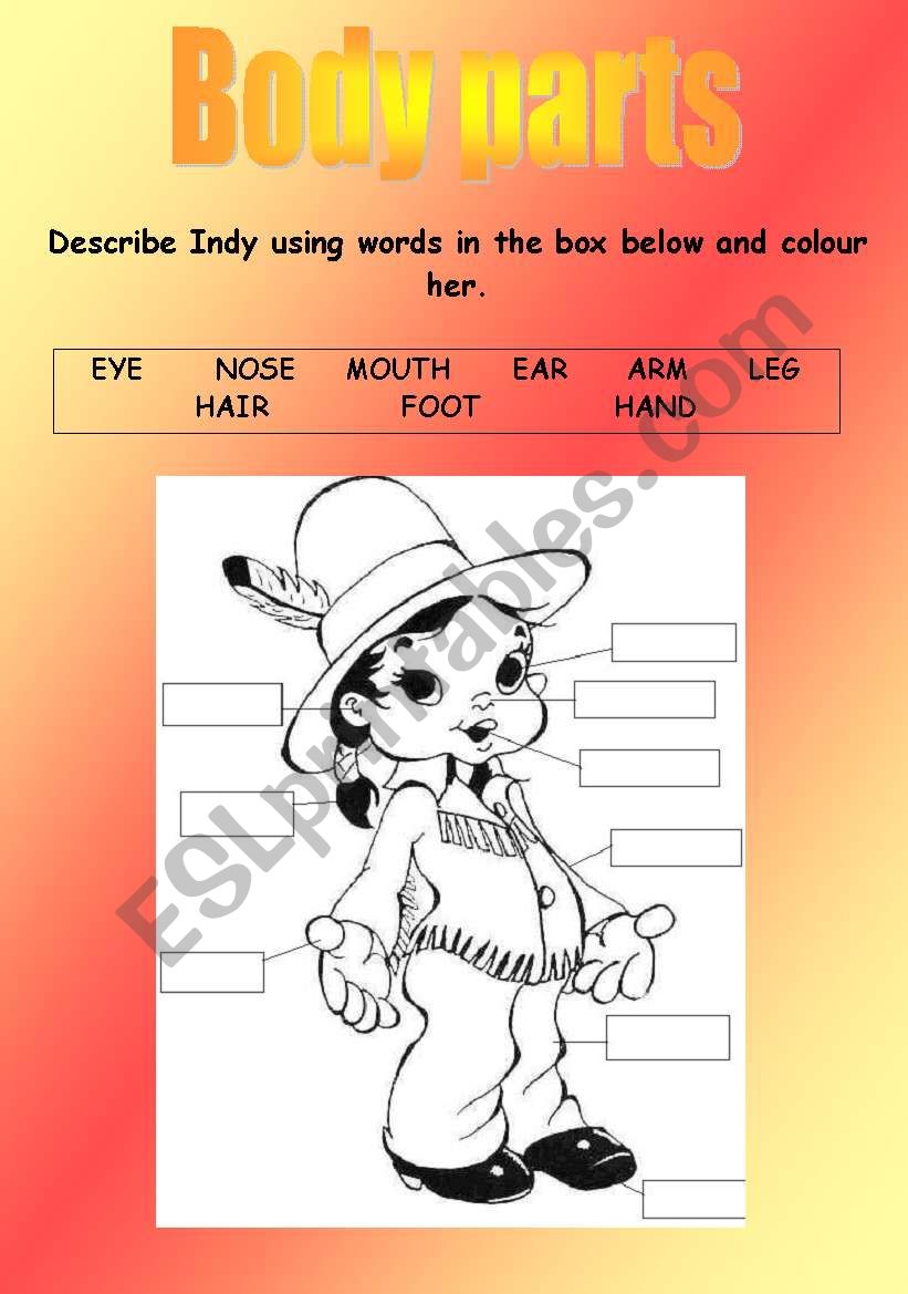 BODY PARTS - COLOURING INDY worksheet