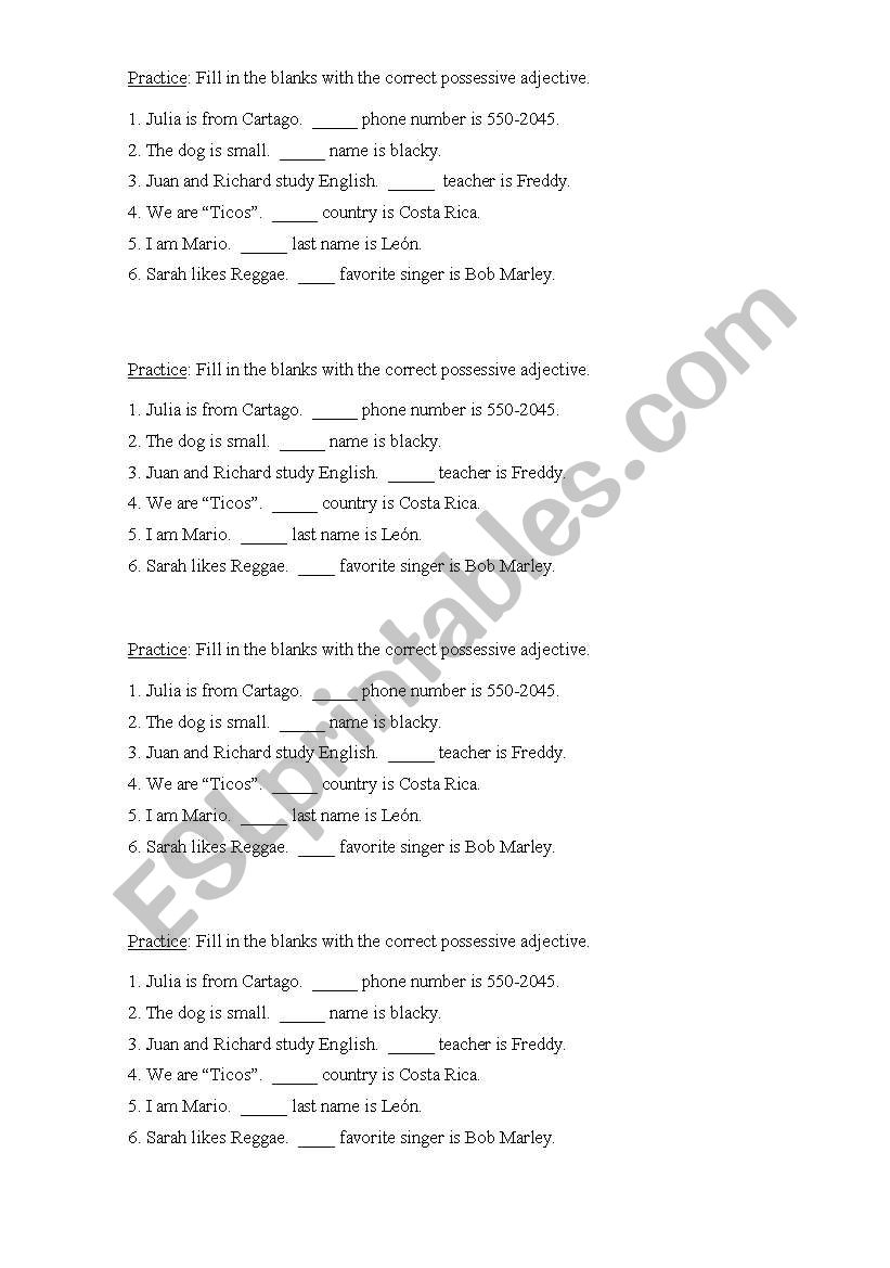 Possessive Pronouns worksheet