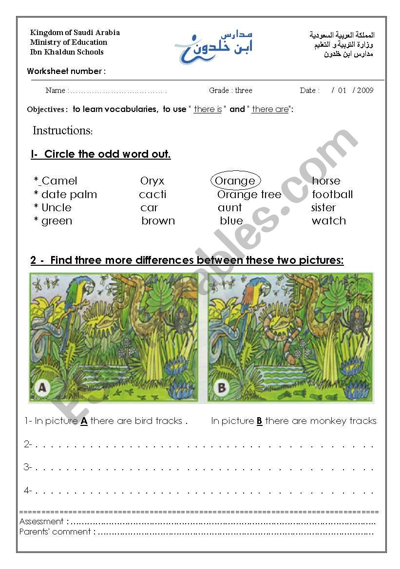 quizz worksheet