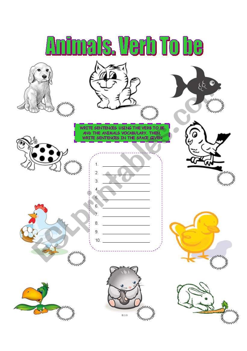Animals. Verb To Be. worksheet