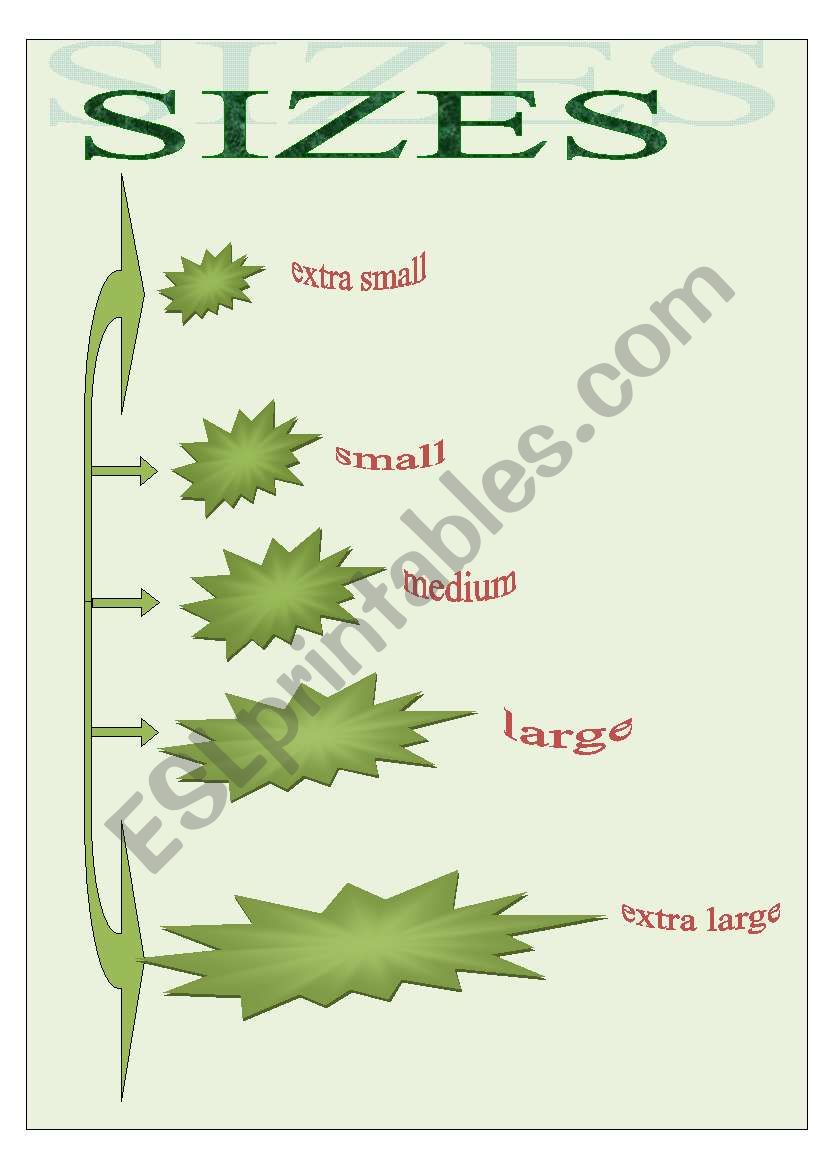 sizes worksheet