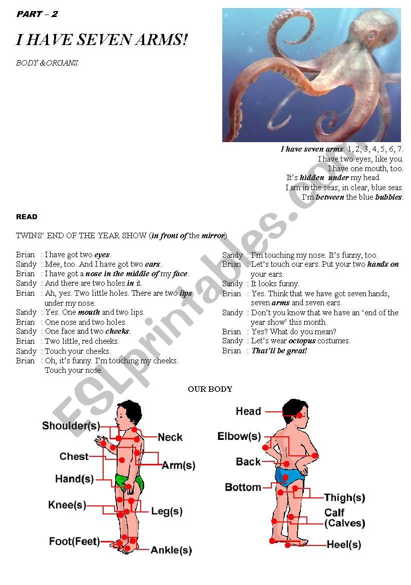 body worksheet