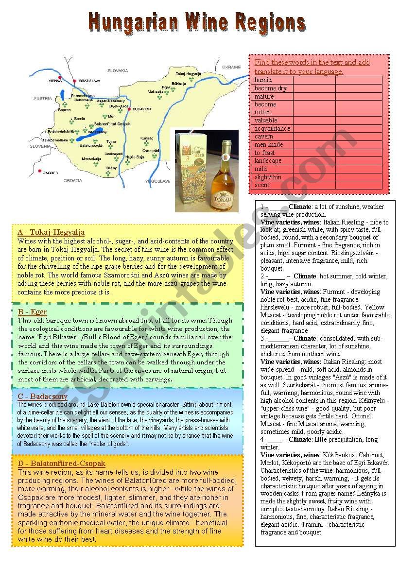 Hungarian Wine Regions worksheet