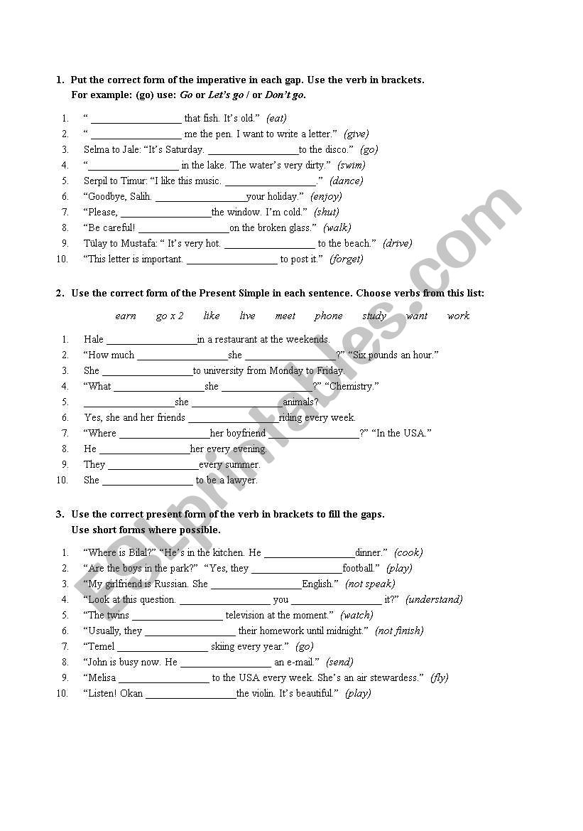 simple present worksheet