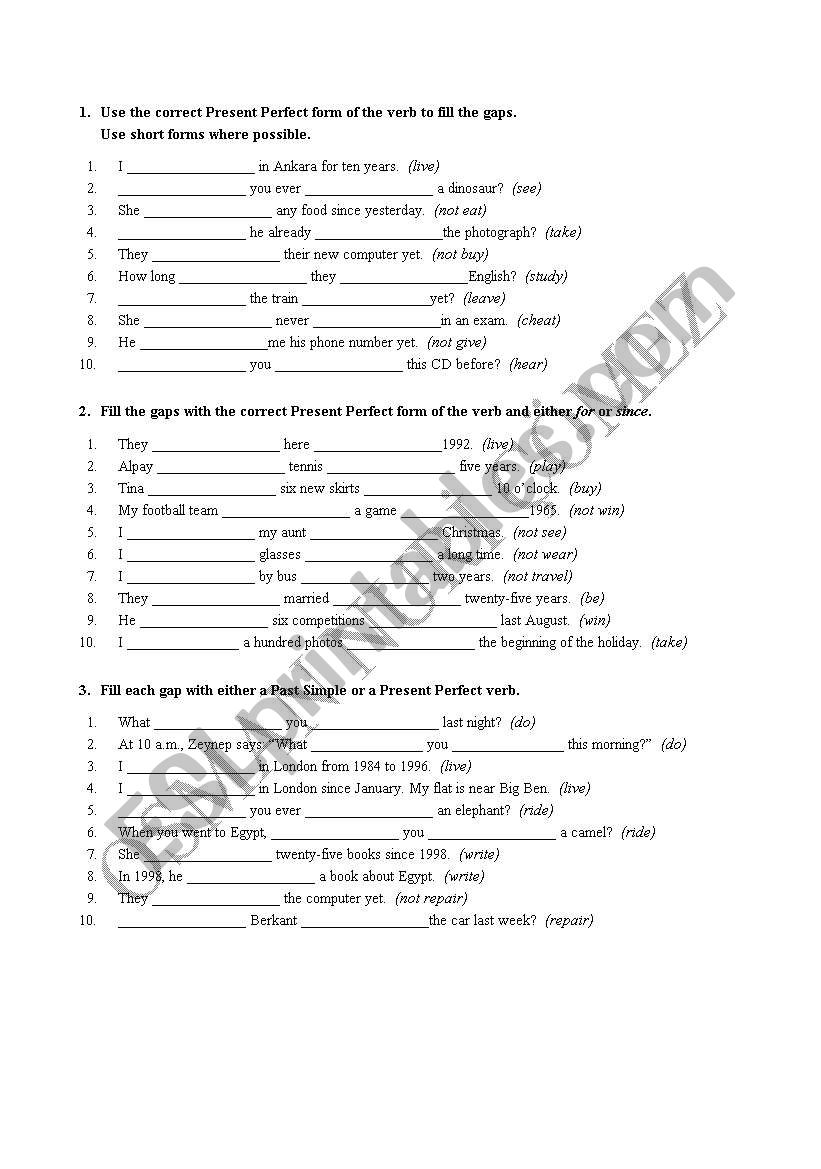 simple past - past perfect worksheet