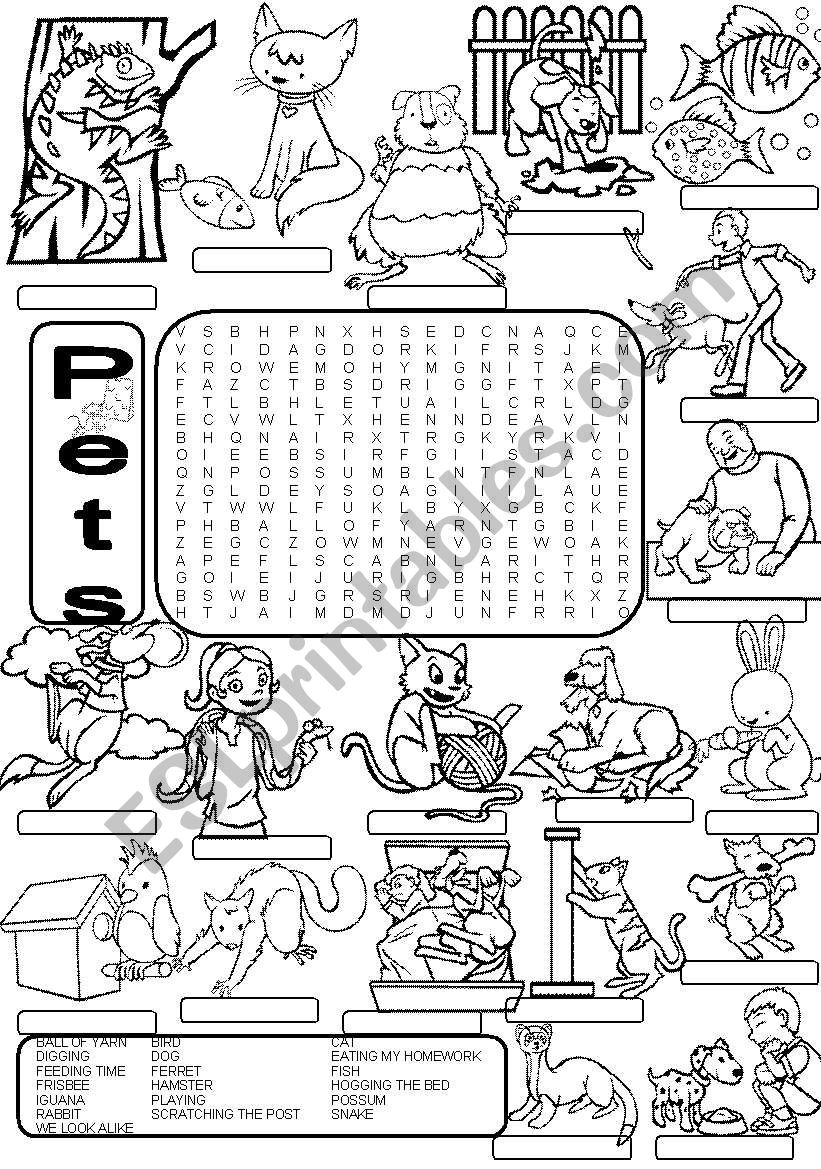 Wordsearch PETS worksheet