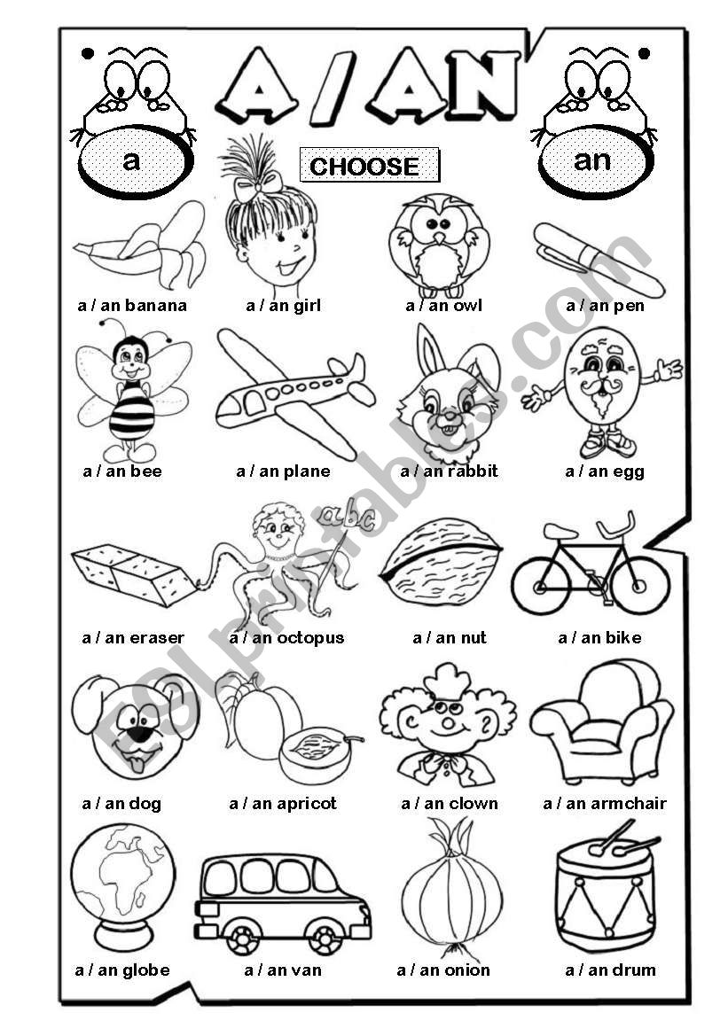 A / An (2/2) worksheet