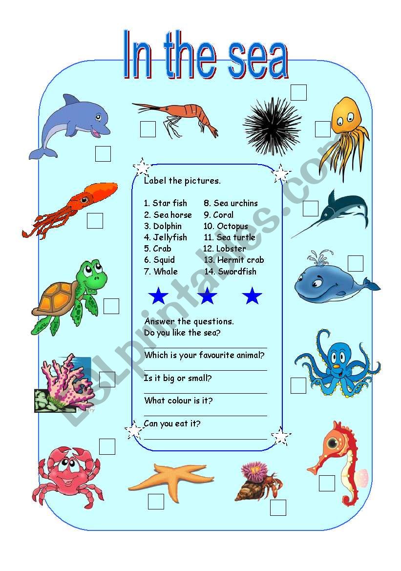 IN THE SEA worksheet