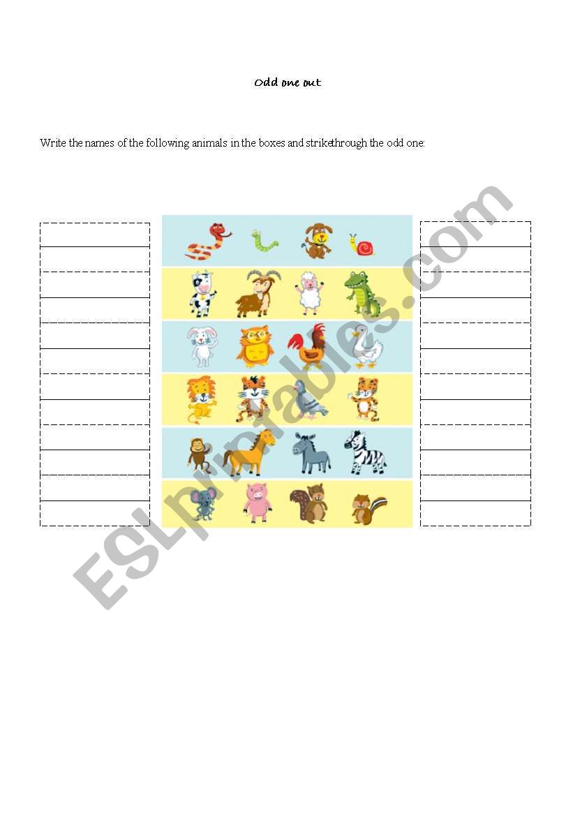 Odd one out worksheet