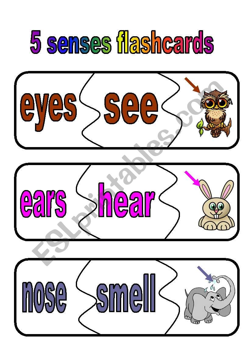 5 senses  worksheet