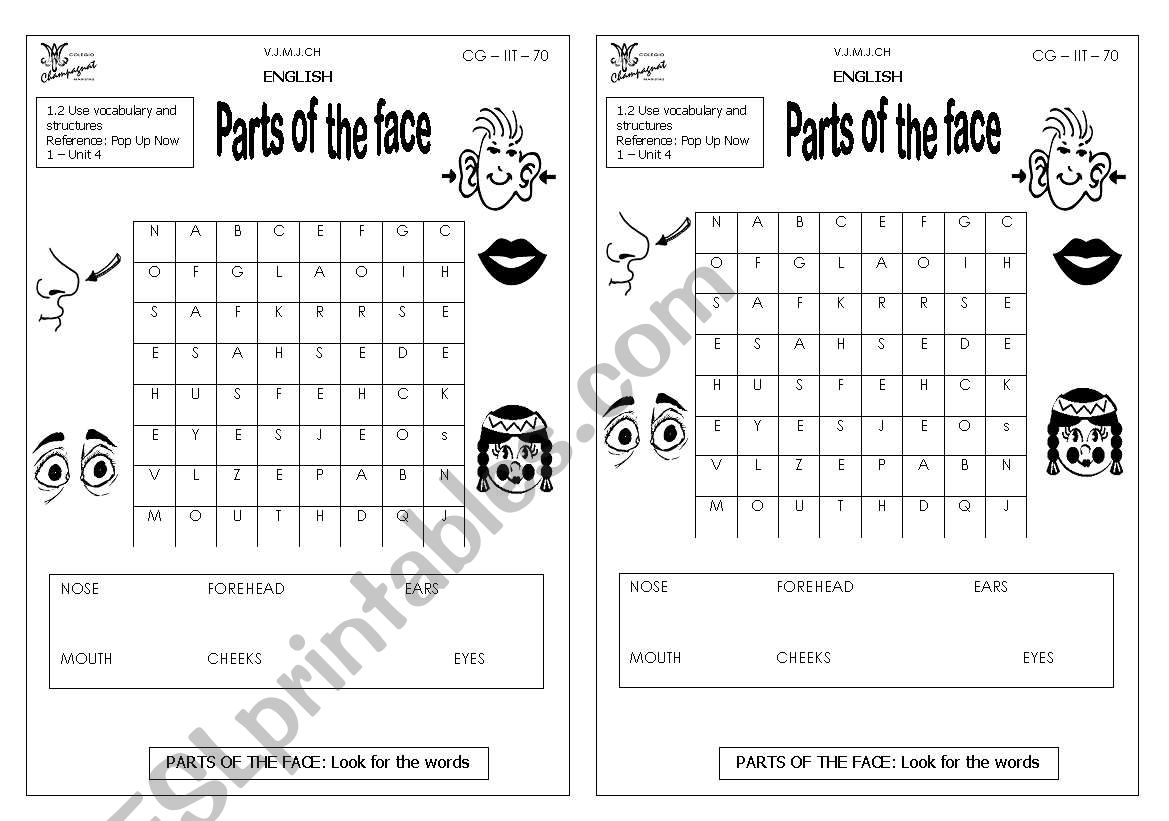 Puzzle Parts of the face worksheet