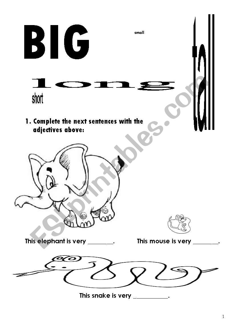 Big, small, long, tall, short worksheet