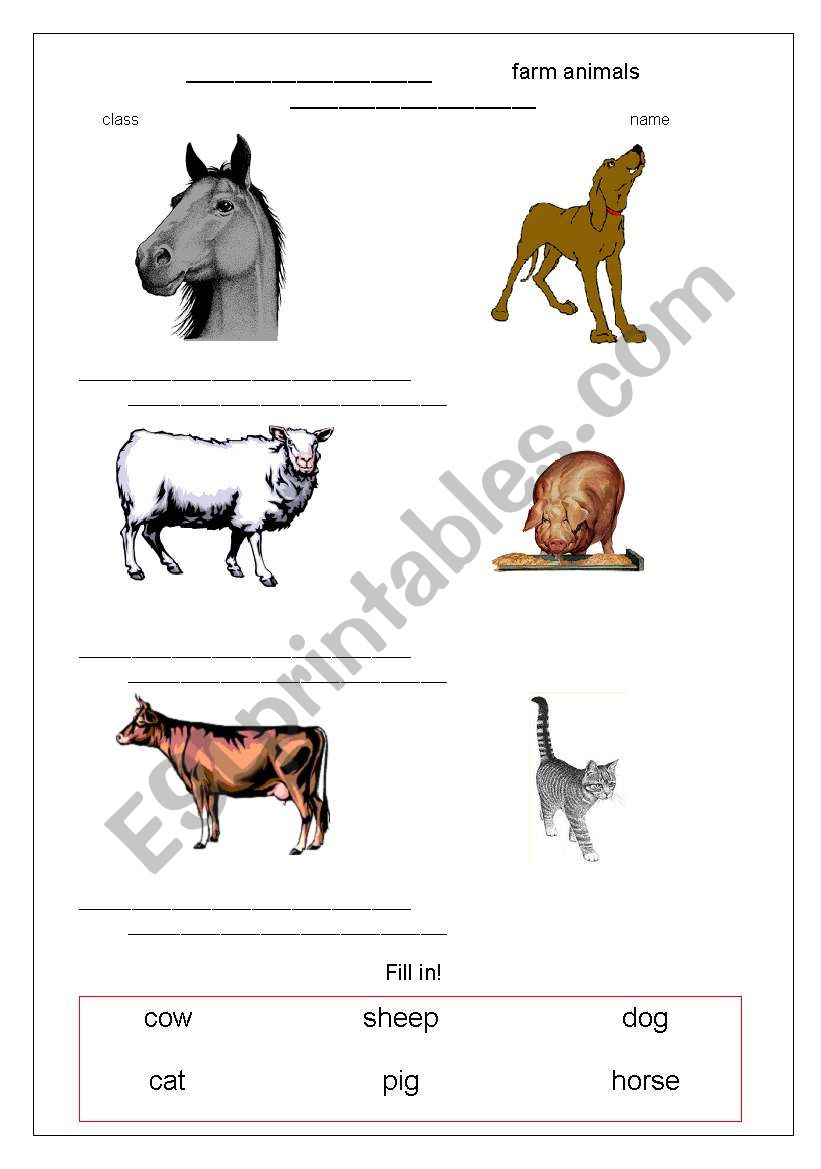 farm animals worksheet